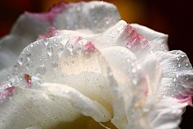 模拟经营游戏《Train Simulator》Steam页面上线 第四季度发售